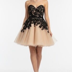 Elegant Black and Cream Lace Dress